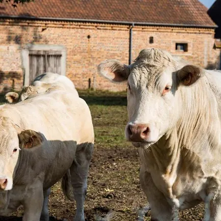 Les Louteaux - Splendide Chateau Du Xviii -piscine- Parc De Lamas *