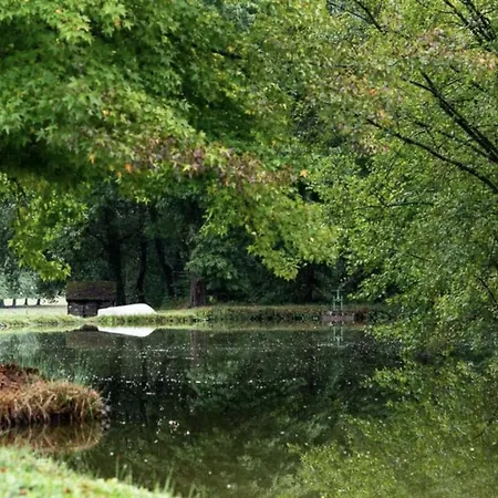 Les Louteaux - Splendide Chateau Du Xviii -piscine- Parc De Lamas Villa