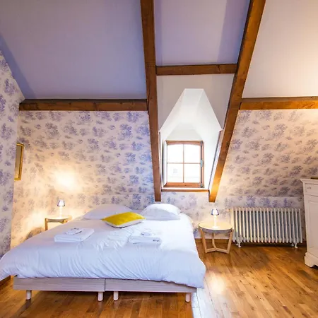 Willa Les Louteaux - Splendide Chateau Du Xviii -piscine- Parc De Lamas