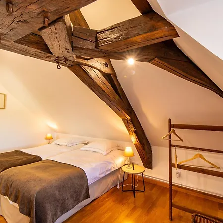 Willa Les Louteaux - Splendide Chateau Du Xviii -piscine- Parc De Lamas Chezy