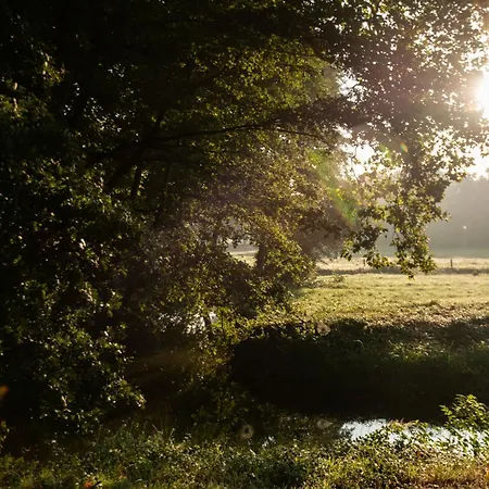 Les Louteaux - Splendide Chateau Du Xviii -piscine- Parc De Lamas Willa Chezy