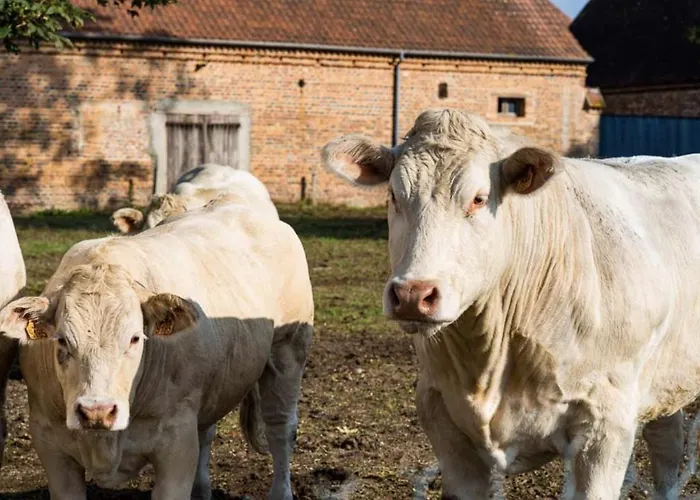 Les Louteaux - Splendide Château Du Xviii -piscine- Parc De Lamas *