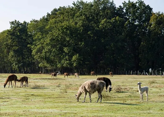 Villa Les Louteaux - Splendide Château Du Xviii -piscine- Parc De Lamas