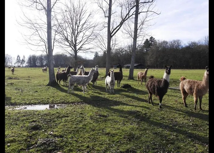 Les Louteaux - Splendide Château Du Xviii -piscine- Parc De Lamas Villa