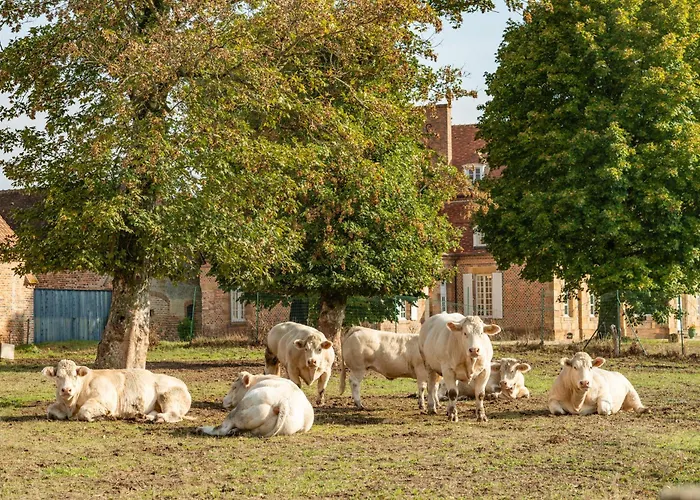 Les Louteaux - Splendide Château Du Xviii -piscine- Parc De Lamas * Chezy